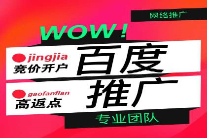 探究某某SEM公司如何通过精准投放实现销售增长